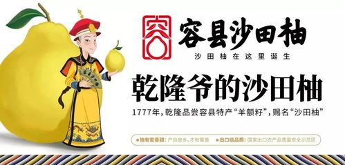 夢回唐朝楊貴妃，沙田有柚震乾隆——廣西旅游年卡與旅發(fā)旅行社集團攜手共譜文化之旅